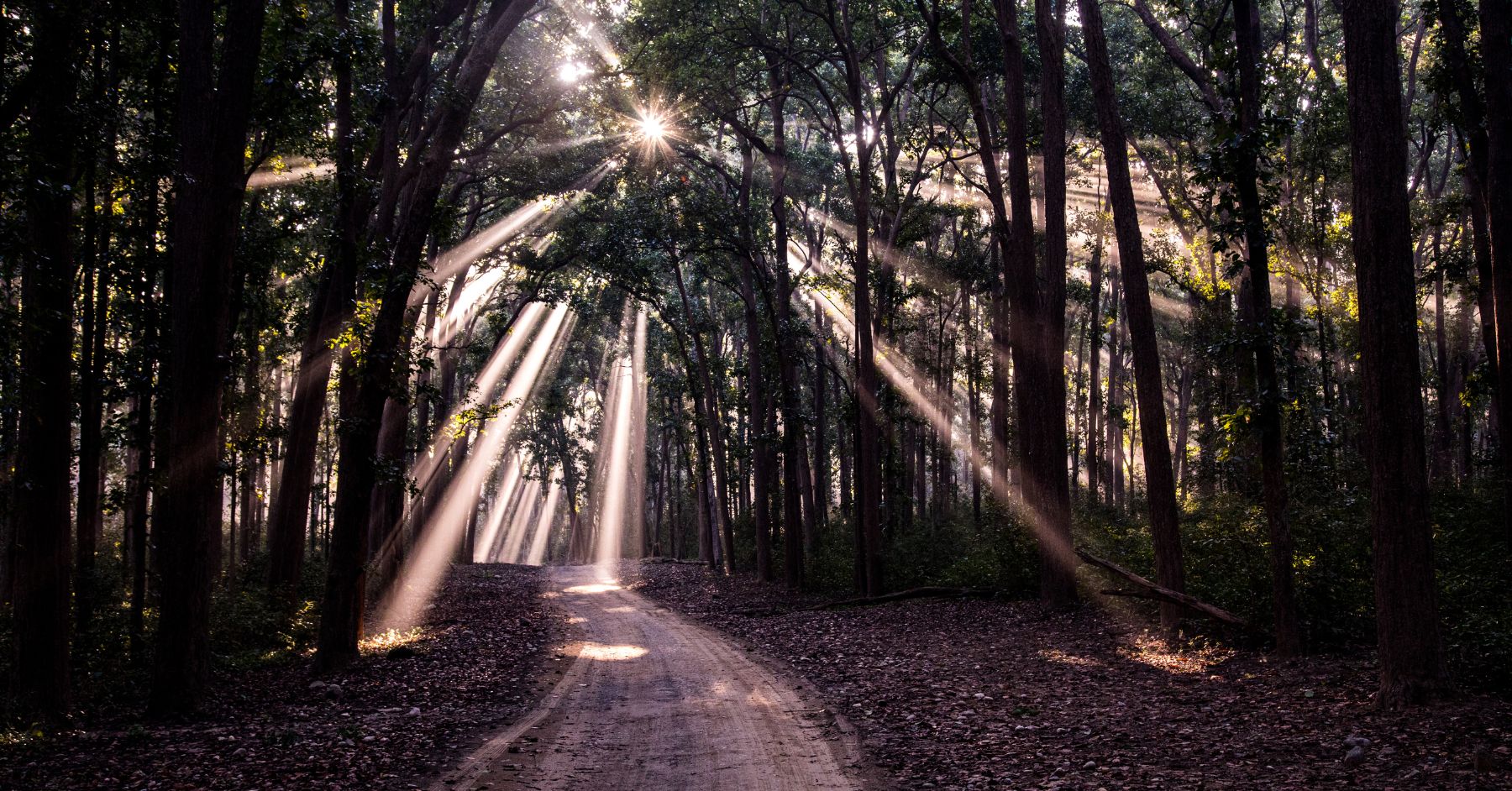 7 Steps to Make Your Written Marketing Content Shine